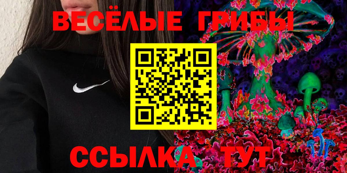Будённовск  Галлюциногенные грибы Cubensis  Галлюциногенные грибы мицелий  Вход с VPN 